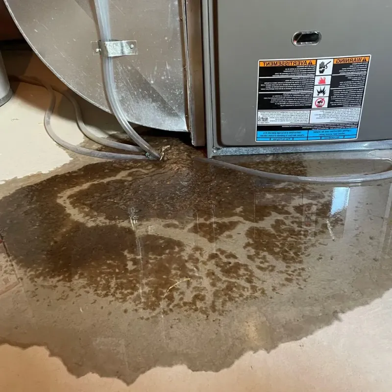 Pipe Burst and Leak Restoration in Williams Bay, WI