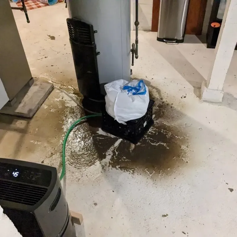 Sewage Backup Cleanup Service in Williams Bay, WI